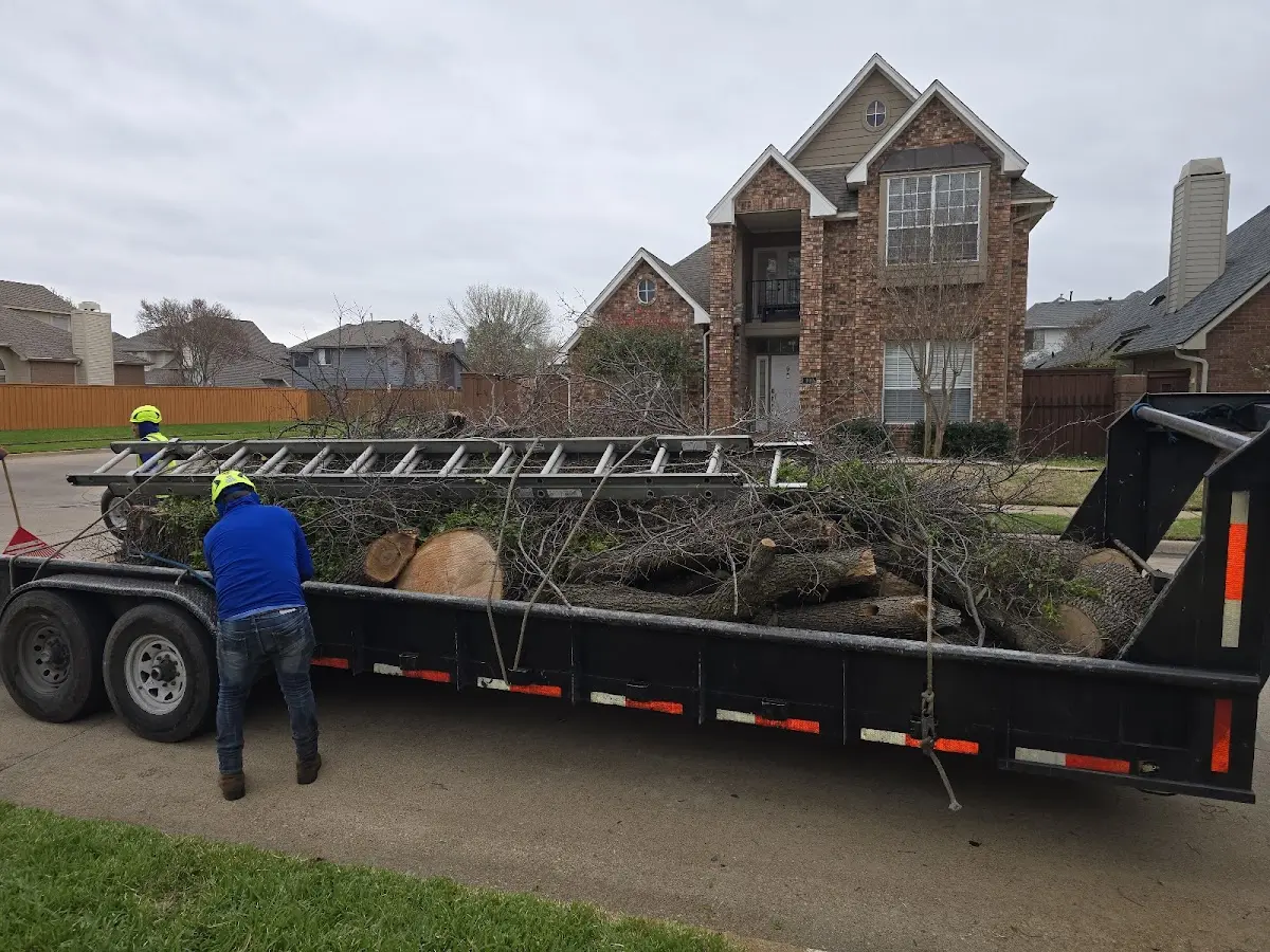 Expert Tree Fertilization with proper safety equipment in Pinon Hills